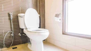 Can I remove a toilet by myself? 